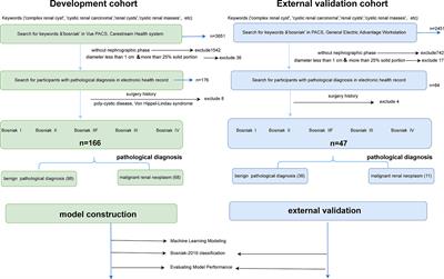 Stratification of malignant renal neoplasms from cystic renal lesions using deep learning and radiomics features based on a stacking ensemble CT machine learning algorithm